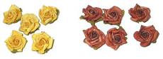 Blumen5+6.jpg
